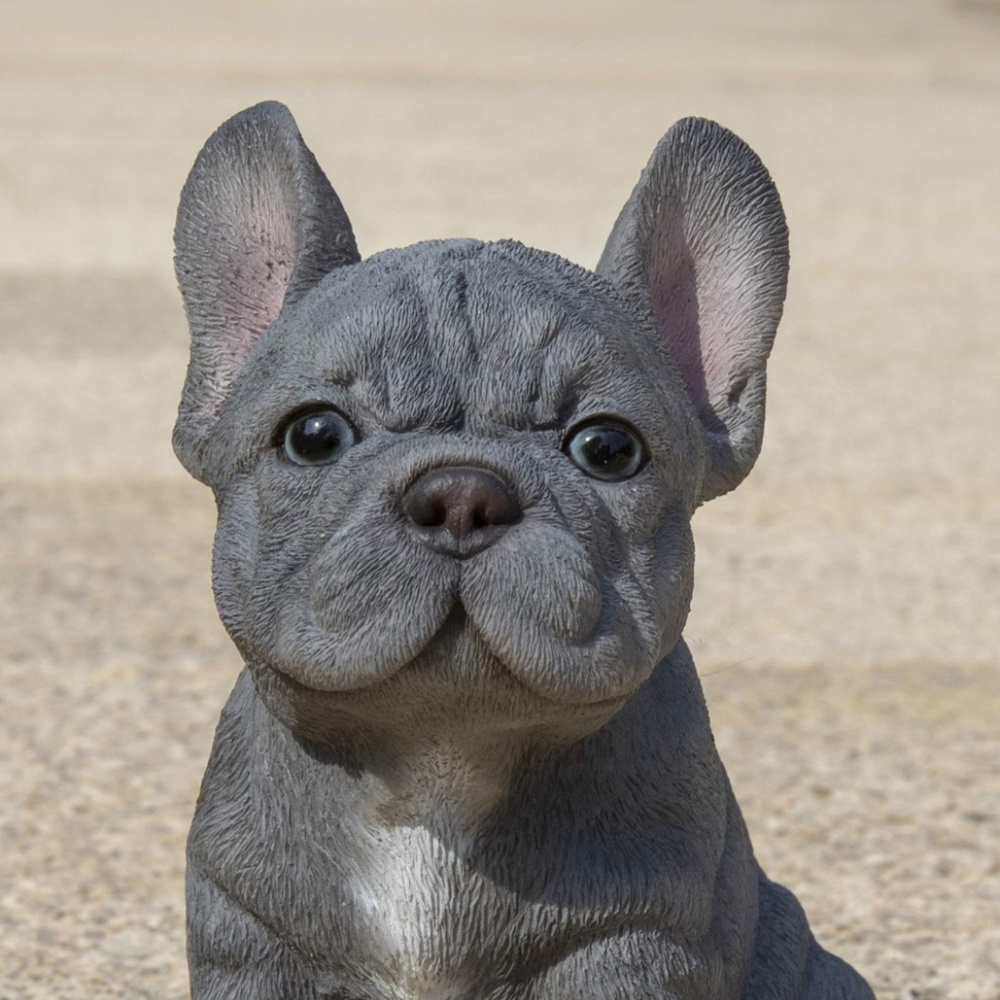 Meet your Posher, LUXURYSWEEP